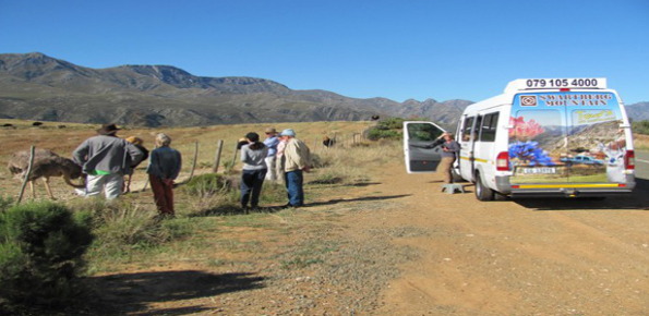 Swartberg-Mountain-Tours1 (1)
